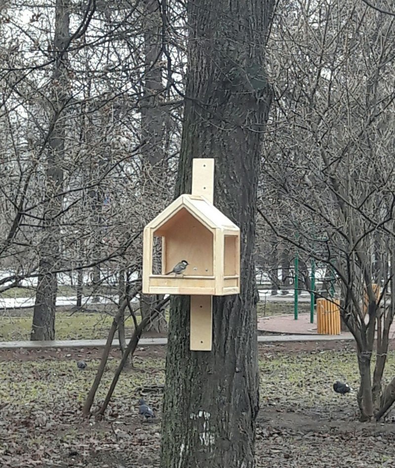 Скворечник лайфмастер