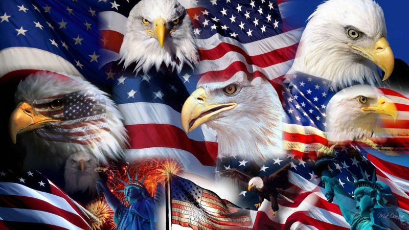 Eagle ава