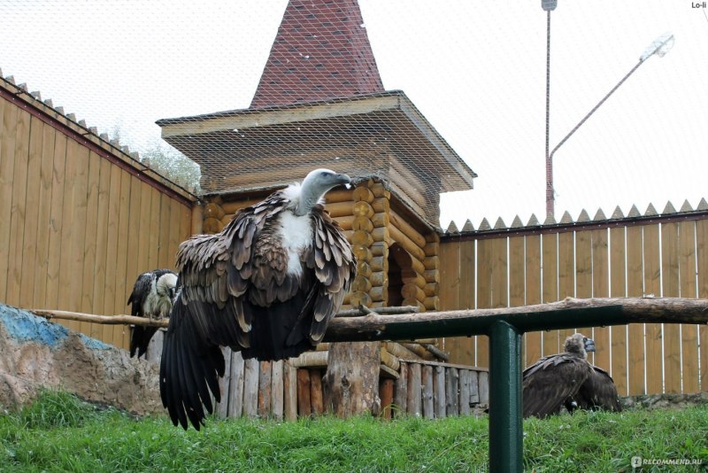 Сормовский зоопарк Лимпопо
