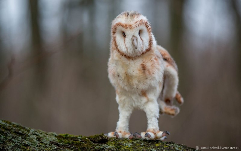 Филин (the Owl) 1991