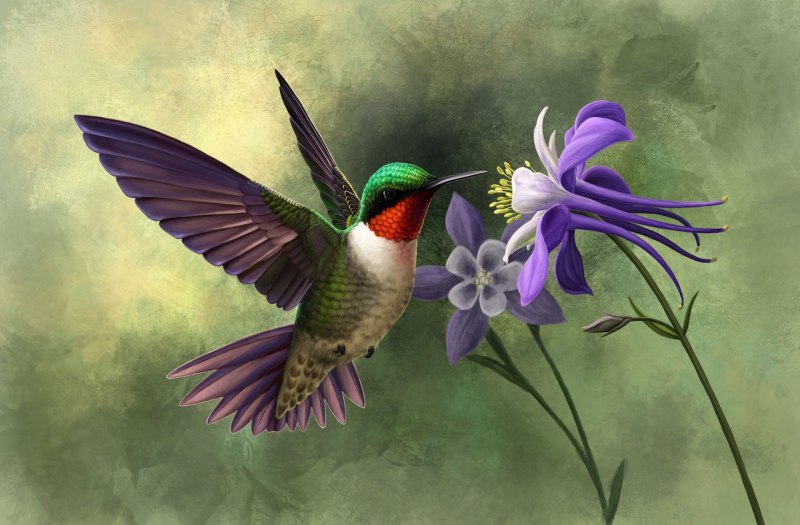 Художник Carl Whitfield.
