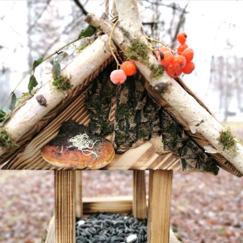 Кормушка для птиц Blumen haus "кафе", 18 х 18 х 23 см