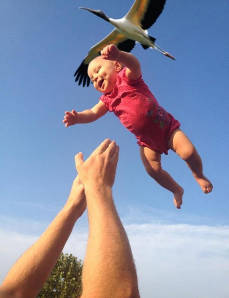 Аист с малышом