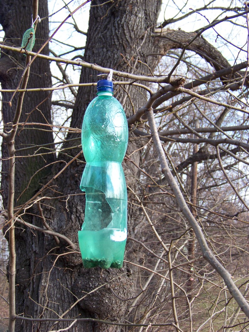 Кормуша изпластиковой бутылки