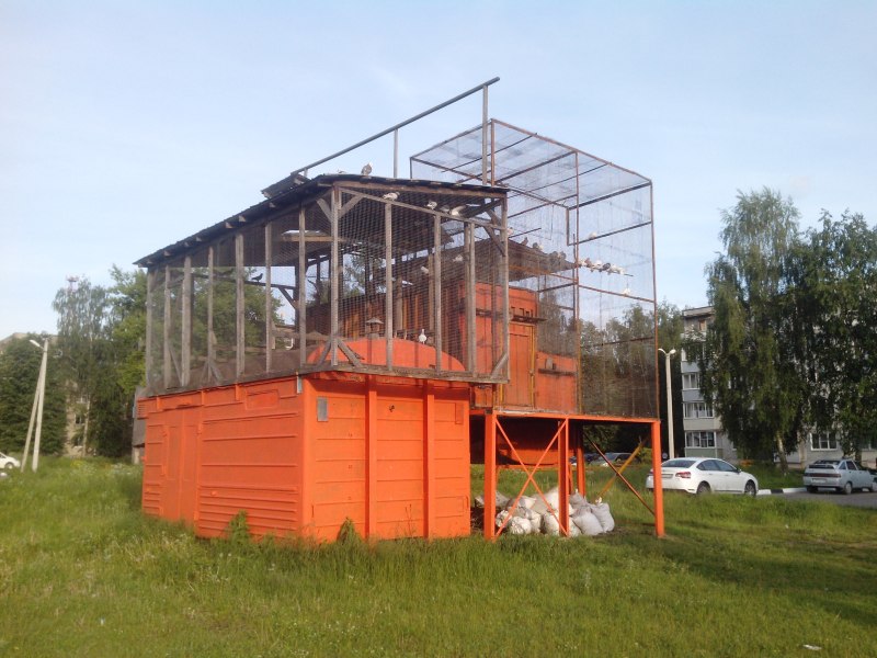Высокая голубятня