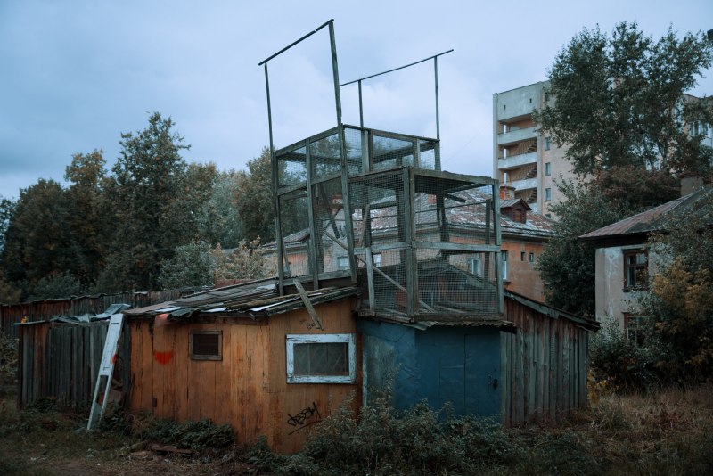Голубятня городская