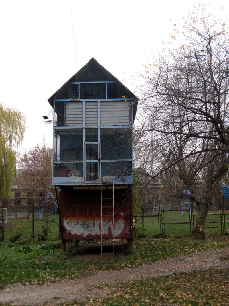 Рябев голубятня