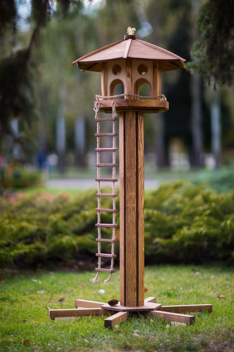 Белка в кормушке