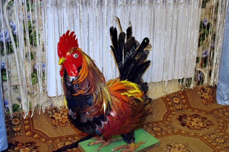 Петух из пластиковых