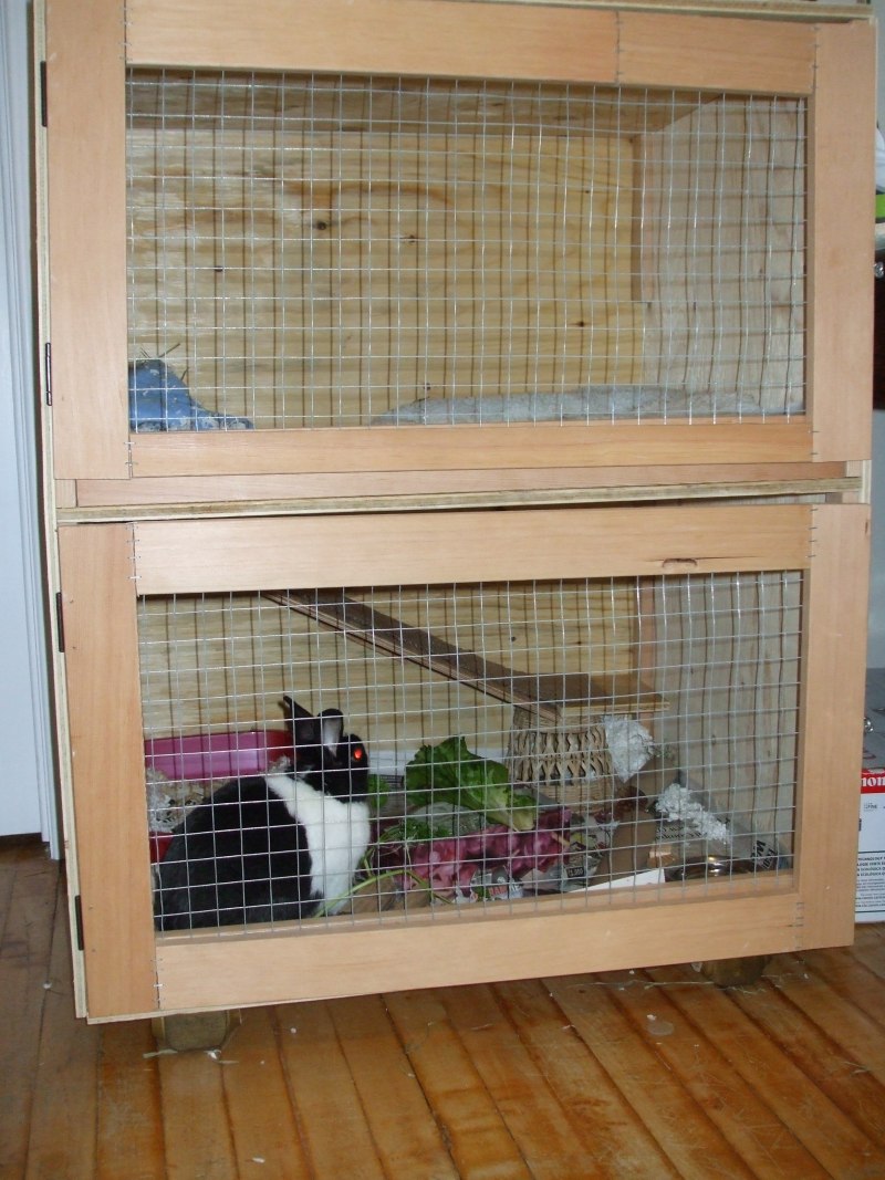 Indoor Rabbit Hutch
