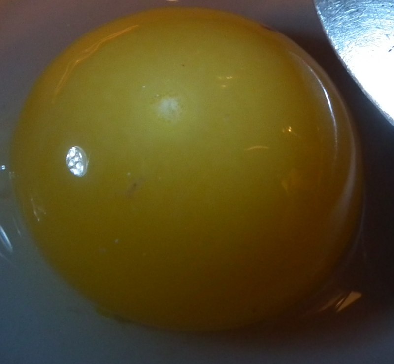 Оплодотворенный желток (44 фото)
