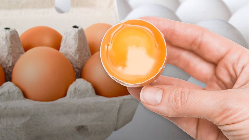 Double yolk