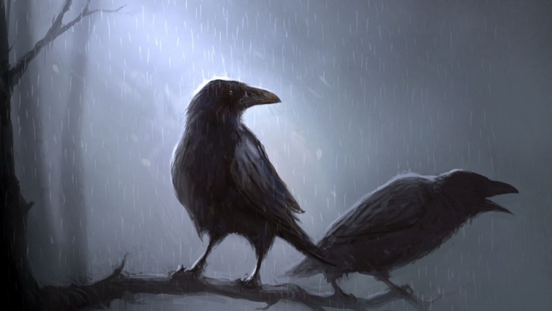 Коракс ворон