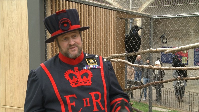 ТАВЕР оф Лондон с воронами
