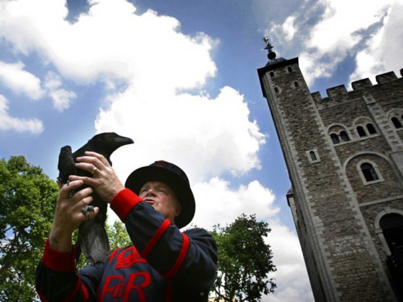 The Tower of London вороны