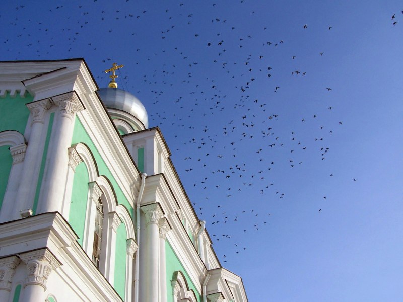 Церковь и голуби