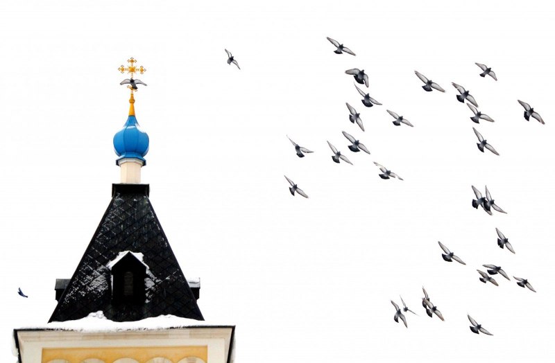 Ава птицы Церковь