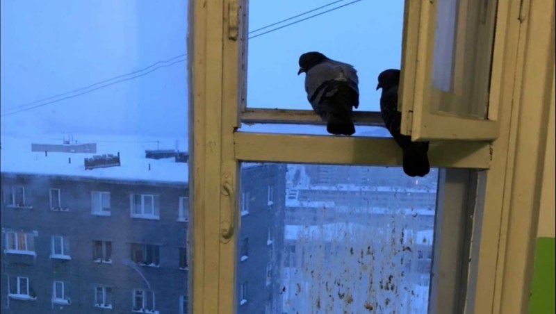 Ангел в подъезде