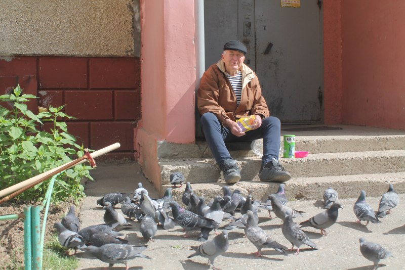 Догони голубя