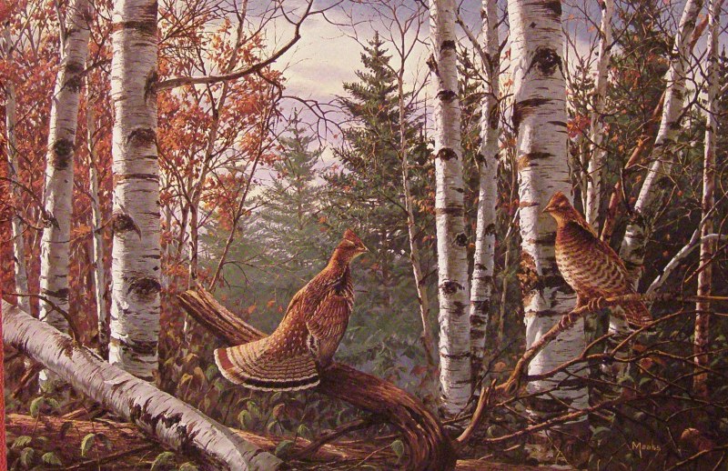 Художник Jan Weenink