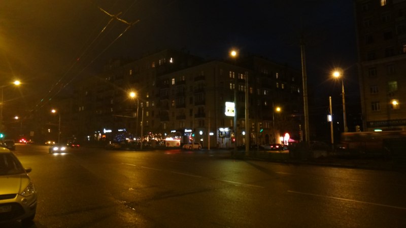 Ястреб-тетеревятник самка