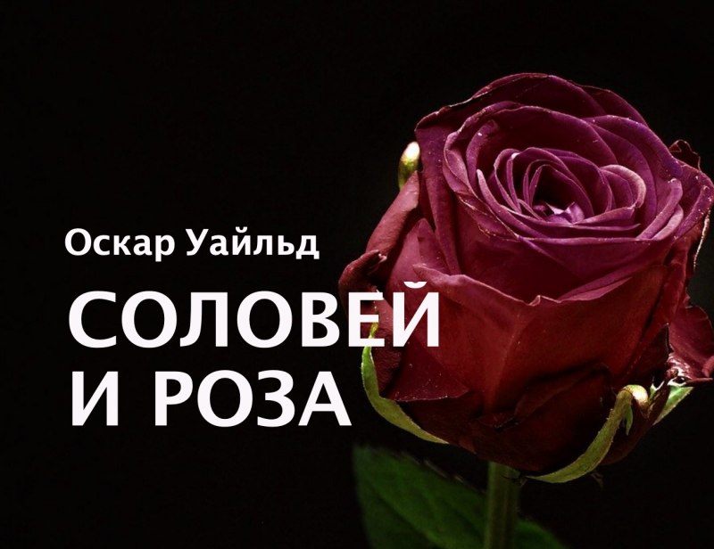 Nightingale and the Rose Oscar Wilde