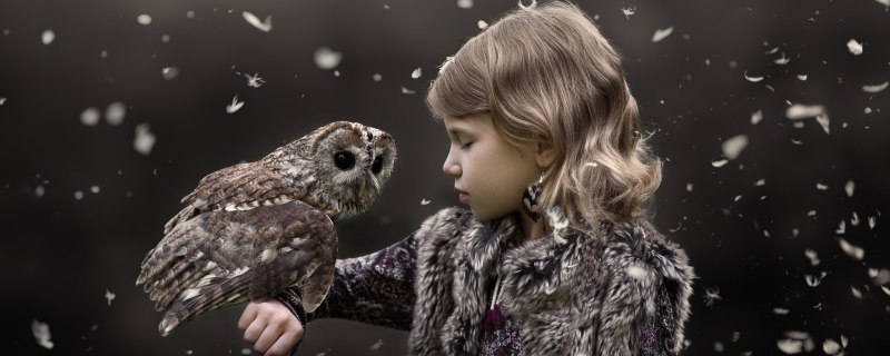 Фотосессия с совой в лесу