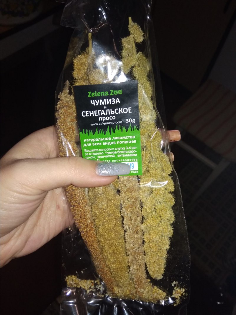 Сенегальское просо из семян
