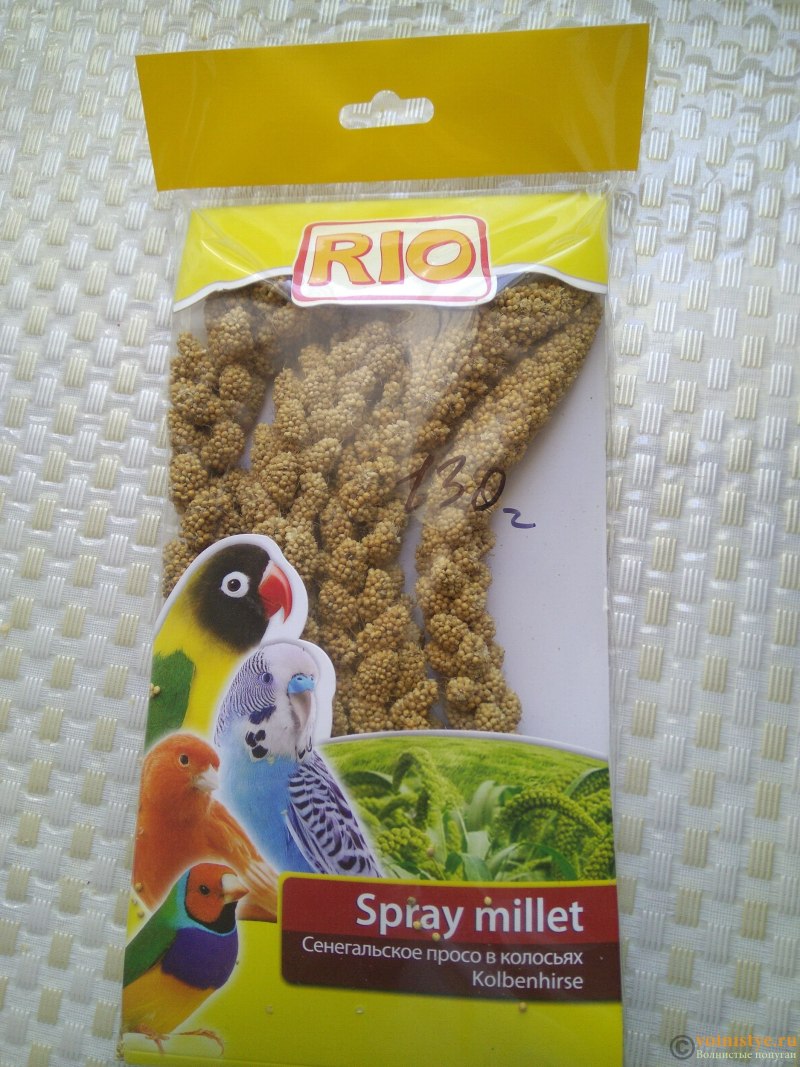 Красное просо для попугаев