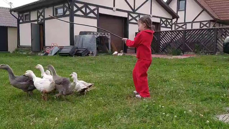 Холмогорские гуси Пензенской области