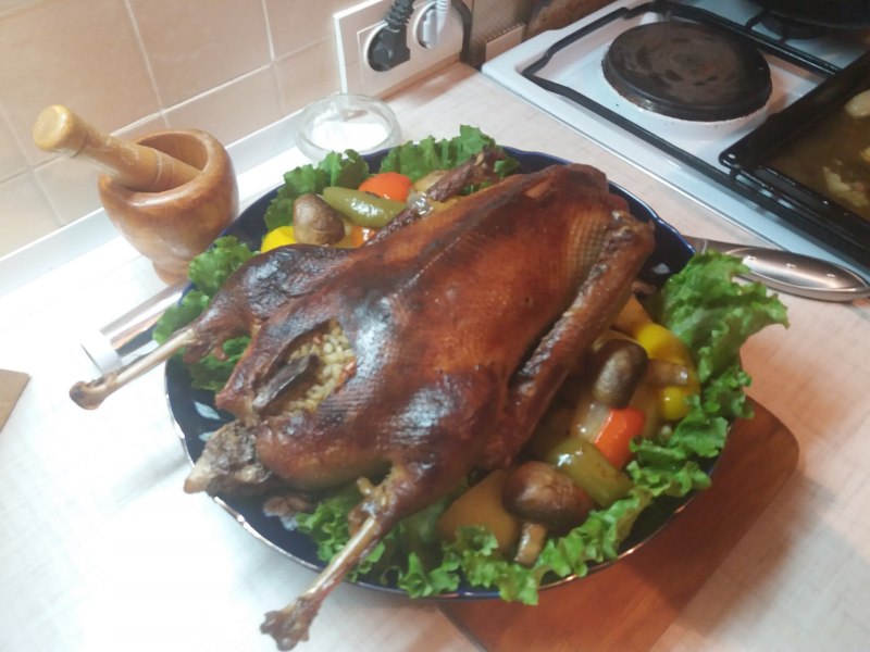 Красный Гусь