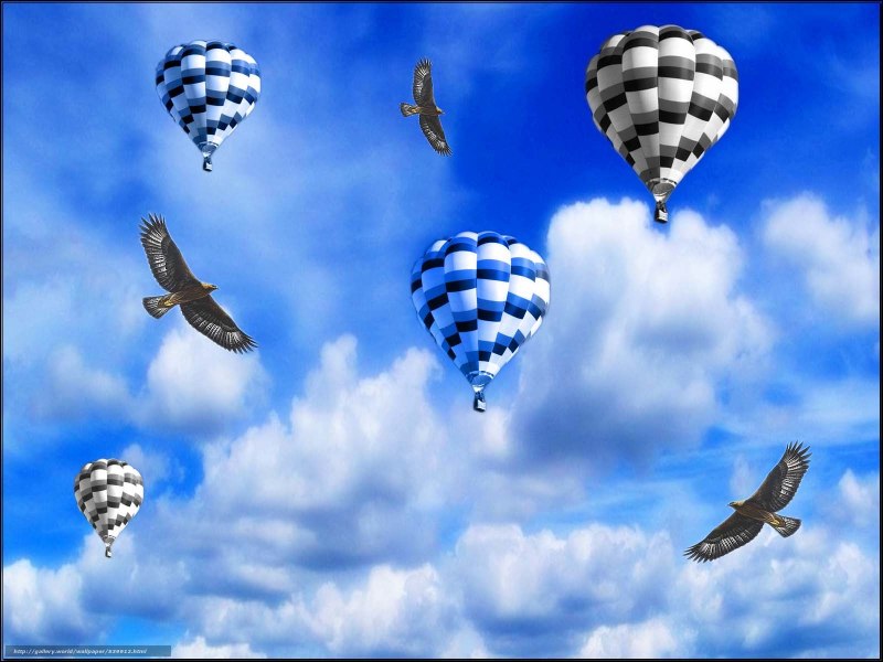 Воздушный шар птица