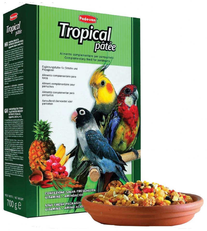 Padovan корм Tropical patee комплексный фруктовый для средних попугаев 700г