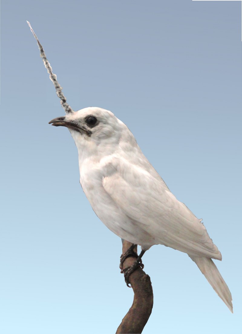 Hellbird