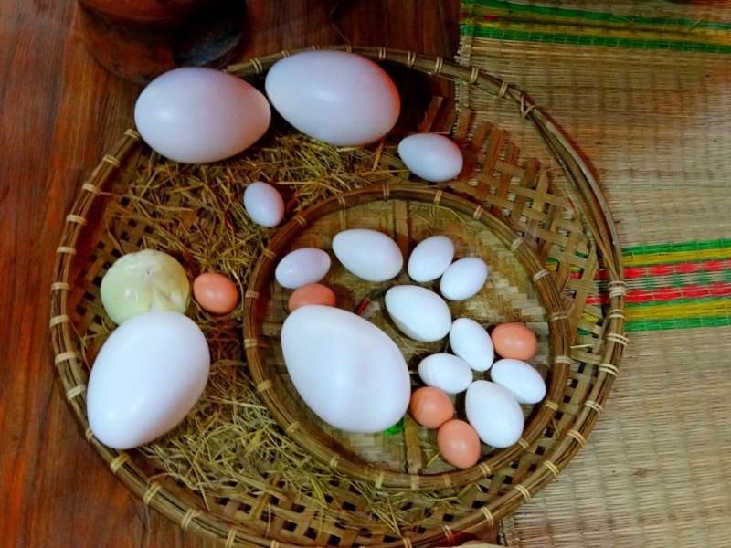 Яйцо куриное перепелиное страусиное
