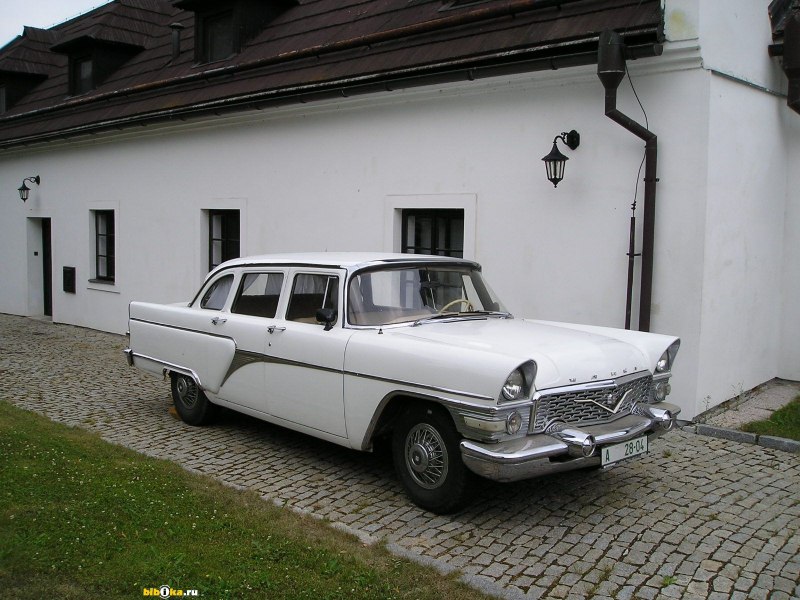 Чайка 13 белая