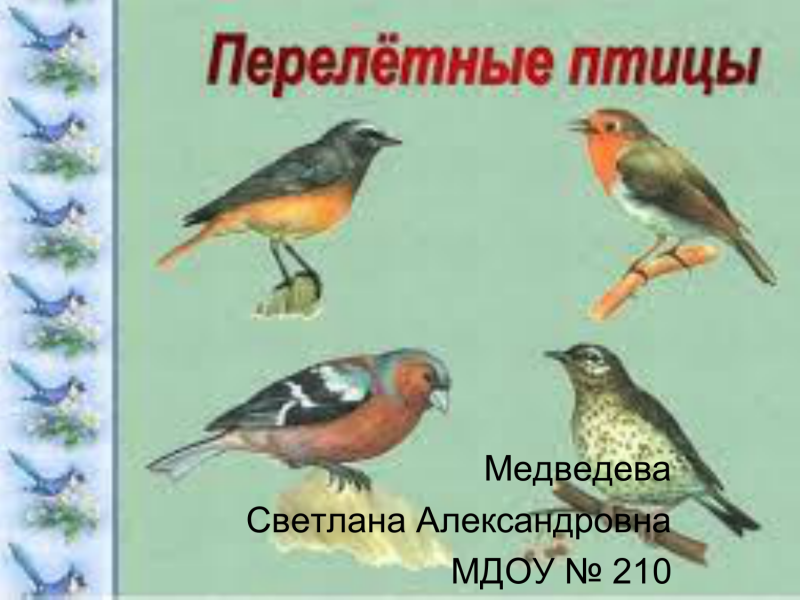 Детям о перелетных птицах в детском саду