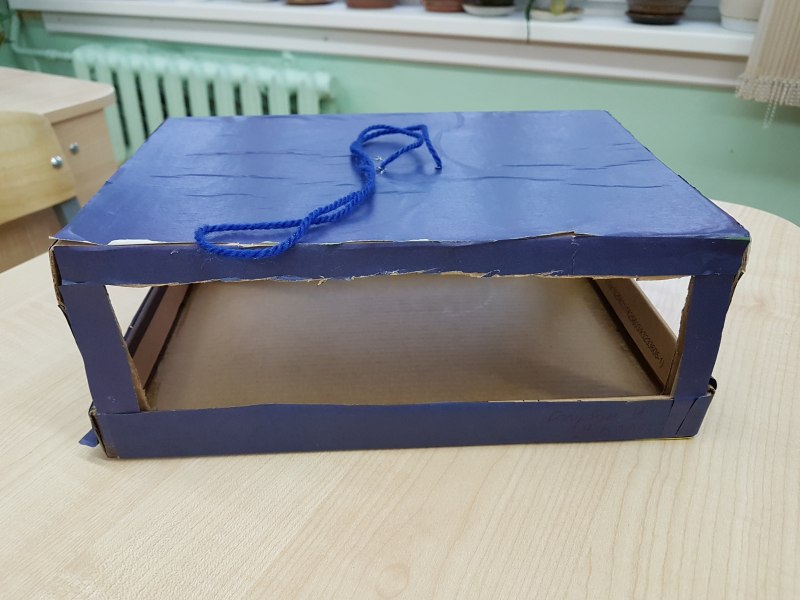 Кормушка из коробки из под обуви