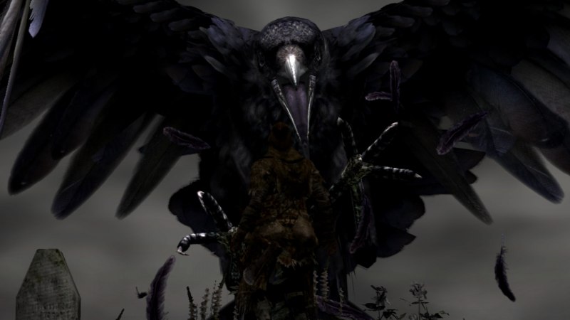 Dark Souls Невидимая ворона.