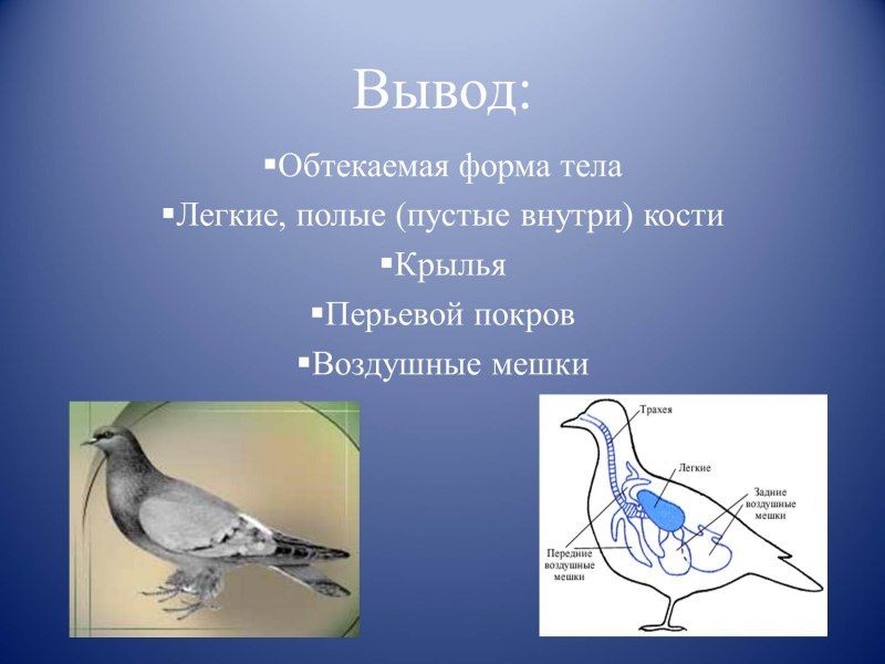 Удобообтекаемое тело