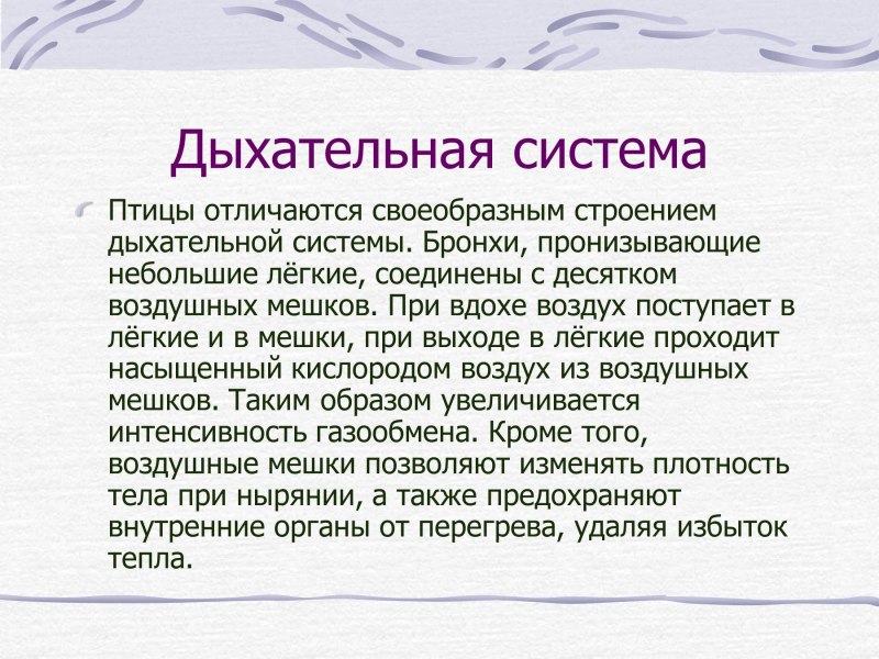 Чайка ворует рыбу у пеликана