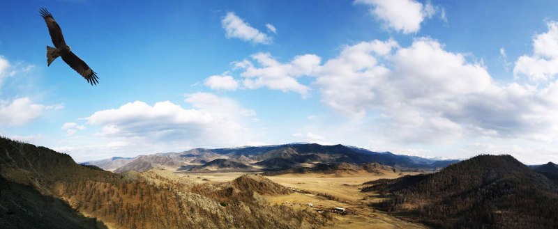 Панорамные горы с орлами