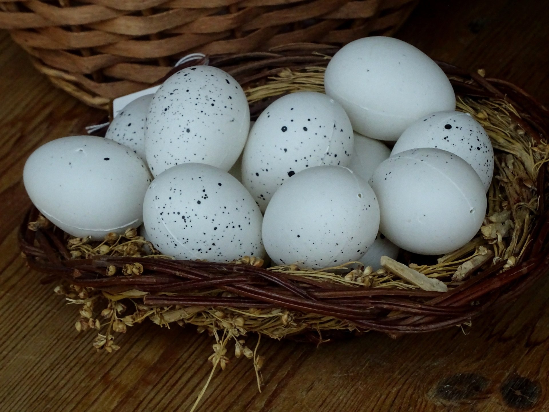 Какого цвета яйца птиц. Яйцо. Яйца разных птиц. Яйцо Птичье скорлупа. Красивые яйца птиц.