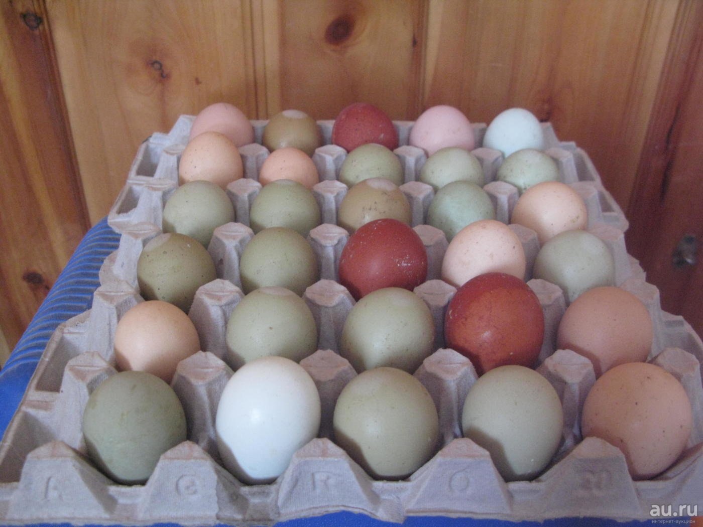 Разноцветные куриные яйца