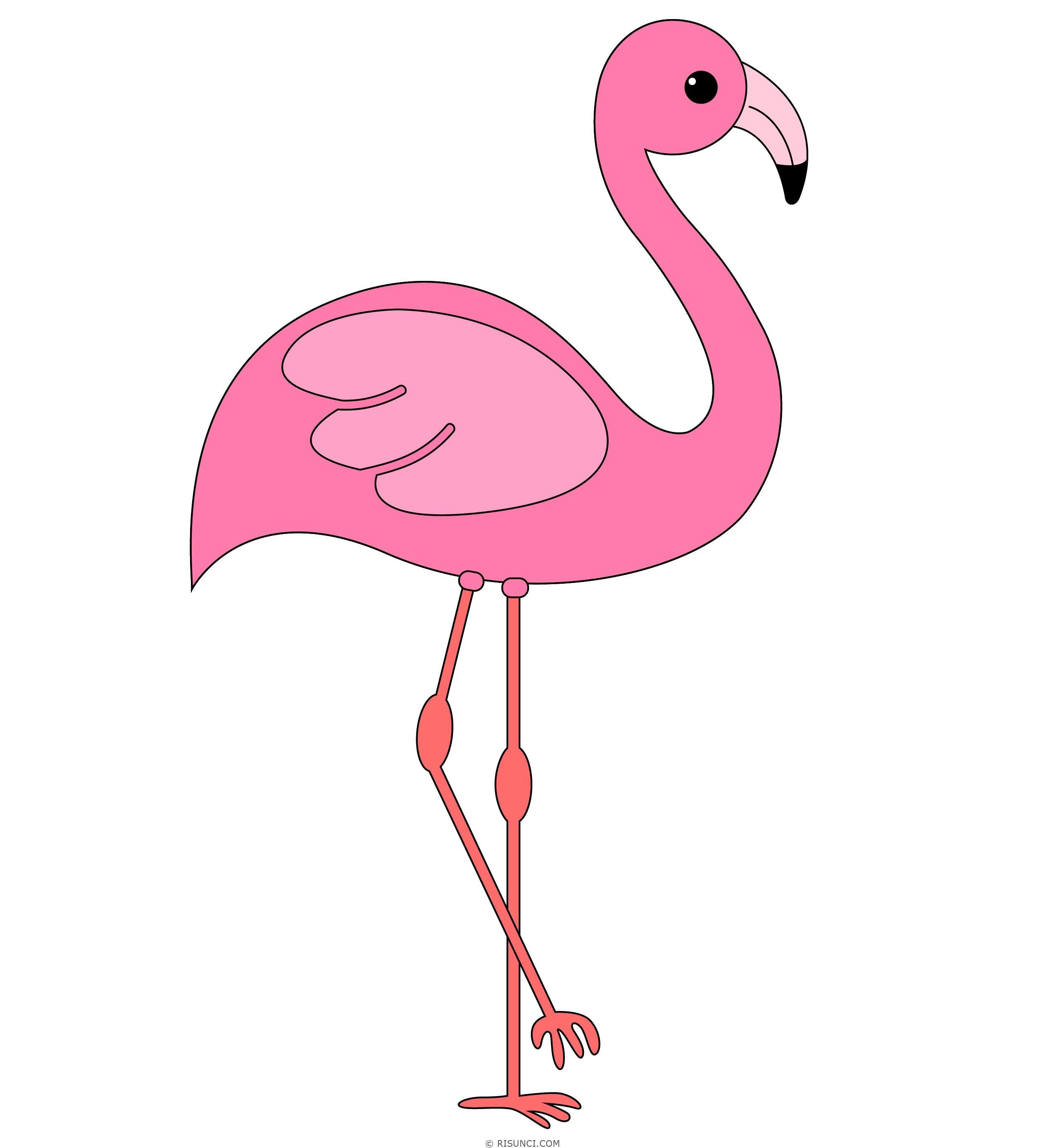 Фламинго легко. Фламинго для срисовки. Фламинго рисунок для срисовки. Фламинго рисунок для детей для срисовки. Рисунки для срисовки лёгкие Фламинго.