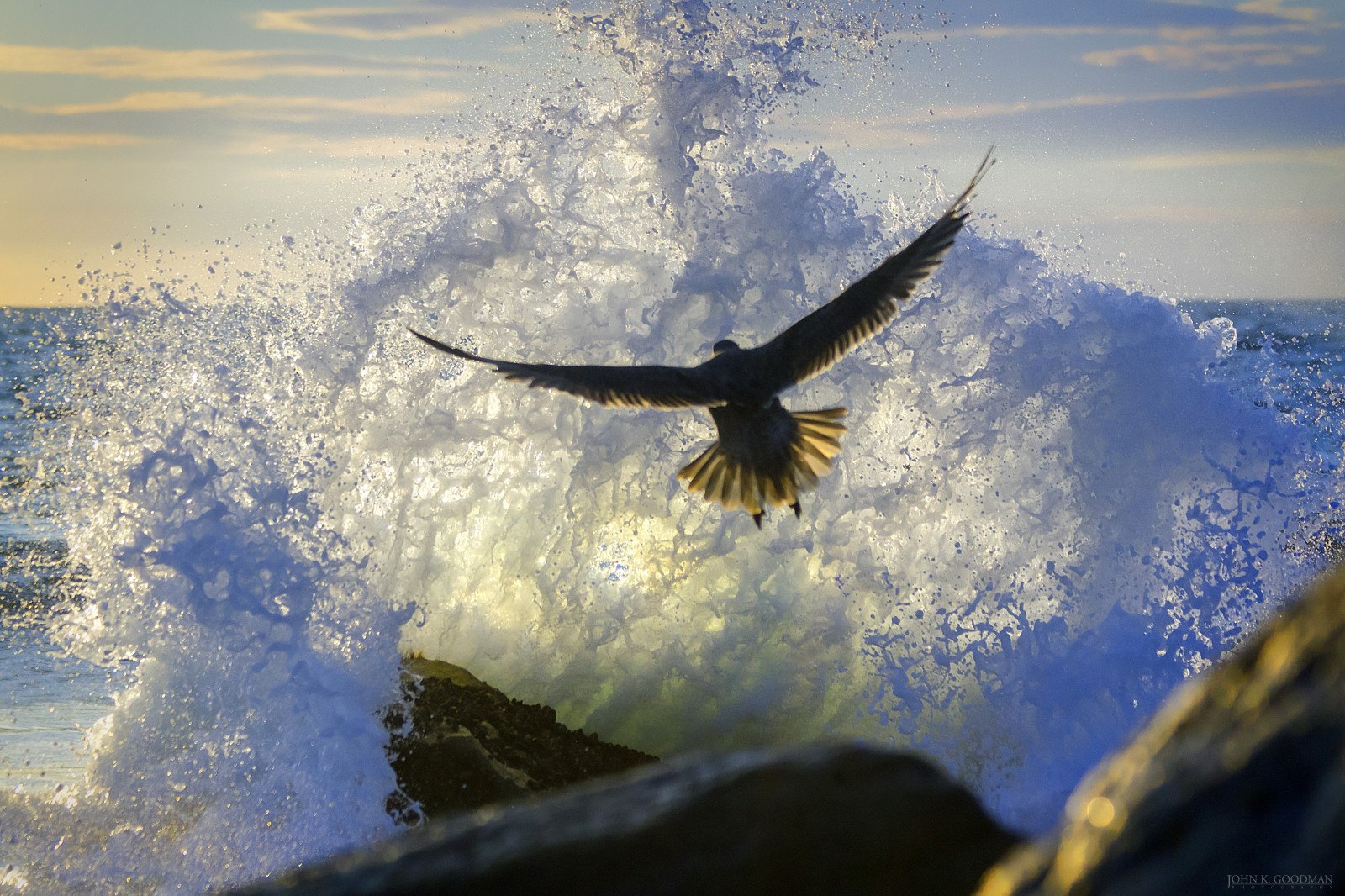 Птичий полет. Орел над морем. Птицы над водой. Полет над морем. Парящая птица.