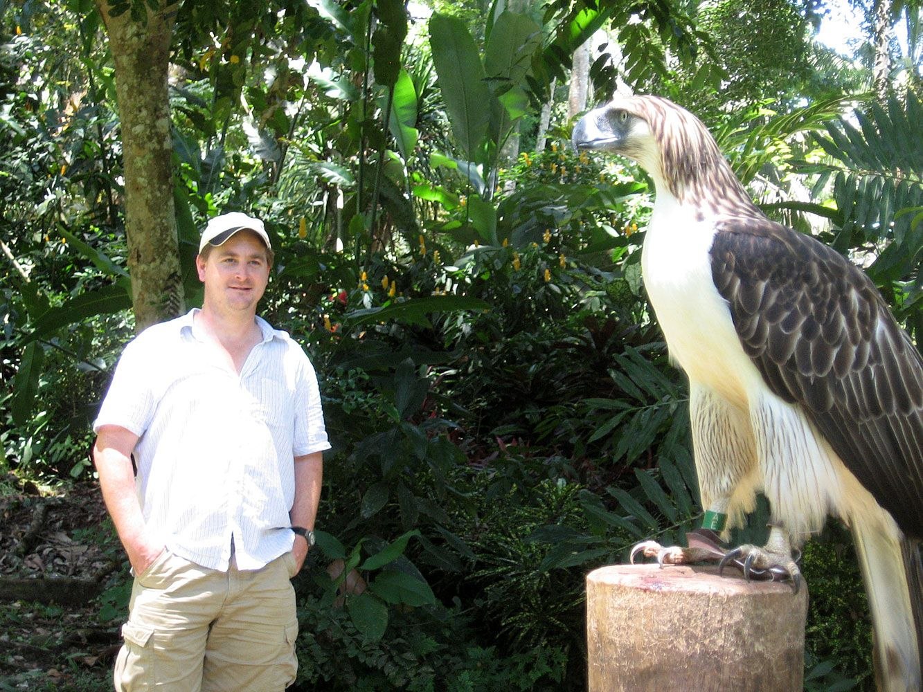 I the biggest bird. Гарпия-обезьяноед. Орел Гарпия обезьяноед. Филиппинский Орел-обезьяноед. Филиппинская Гарпия-обезьяноед.