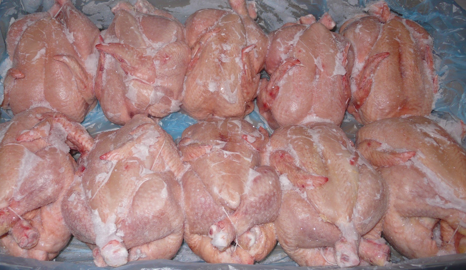 Мясо птицы замороженное. Замороженная курица. Заморозки куры. Курица замороженная фото.