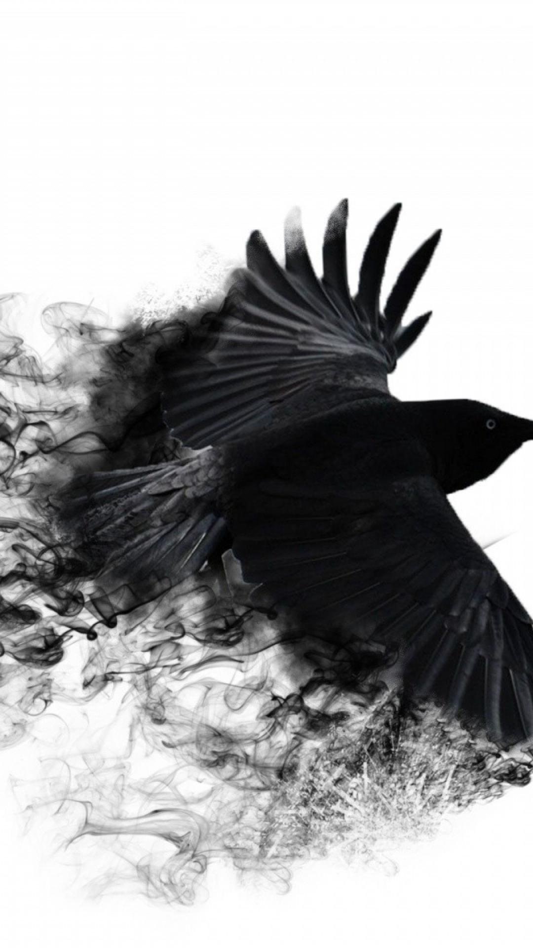 Читать под крылом ворона. Ворон. Ворона на белом фоне. Чёрно-белая ворона. Черный фон с вороном.