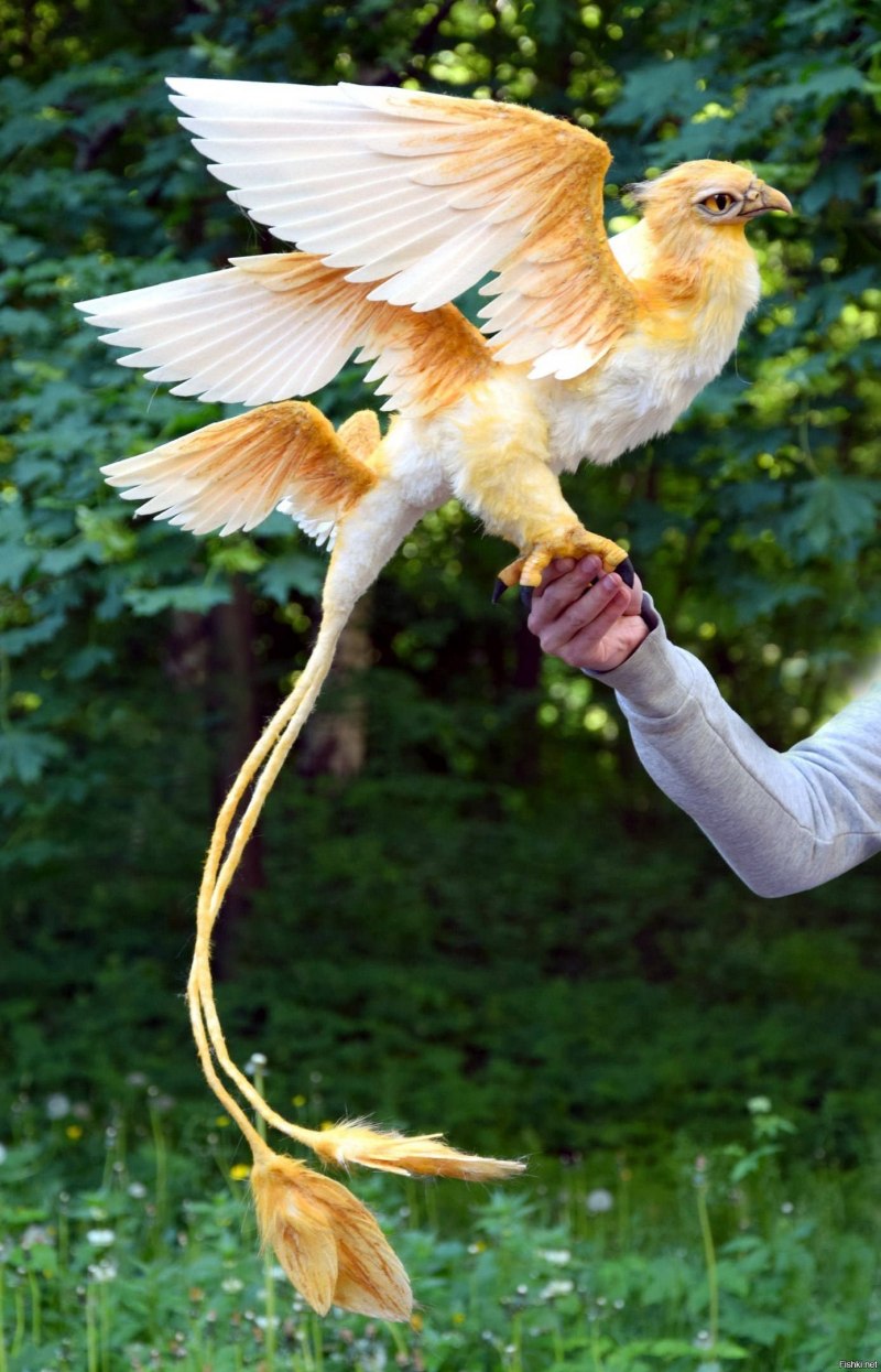 Творить добро
